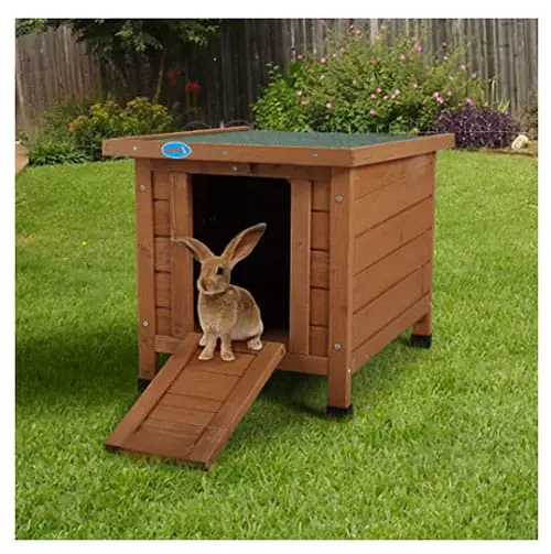 Rabbit Beds Rabbit Pros