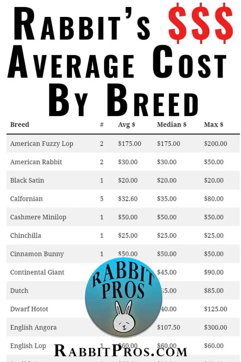 How Much Does A Pet Bunny Rabbit Cost? Cost By Rabbit Breed Survey Data