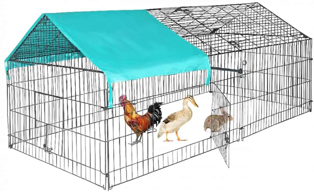 Cat Proof Rabbit Cage Secure Your Rabbit's Hutch
