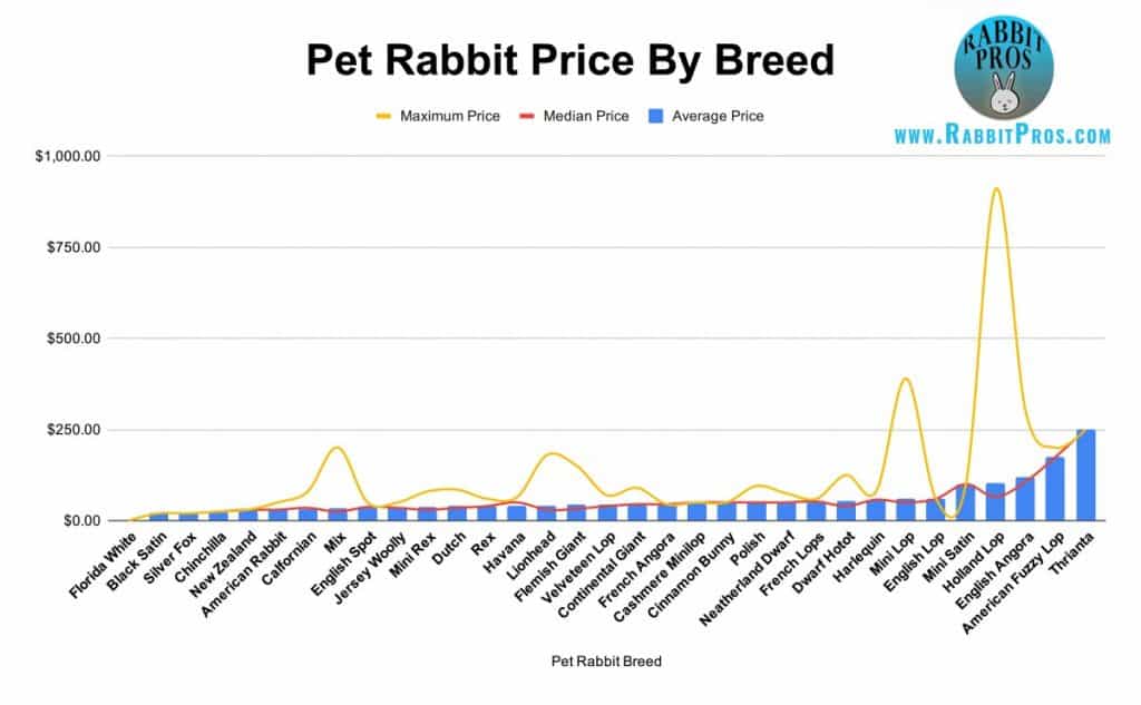 Price For Rabbit