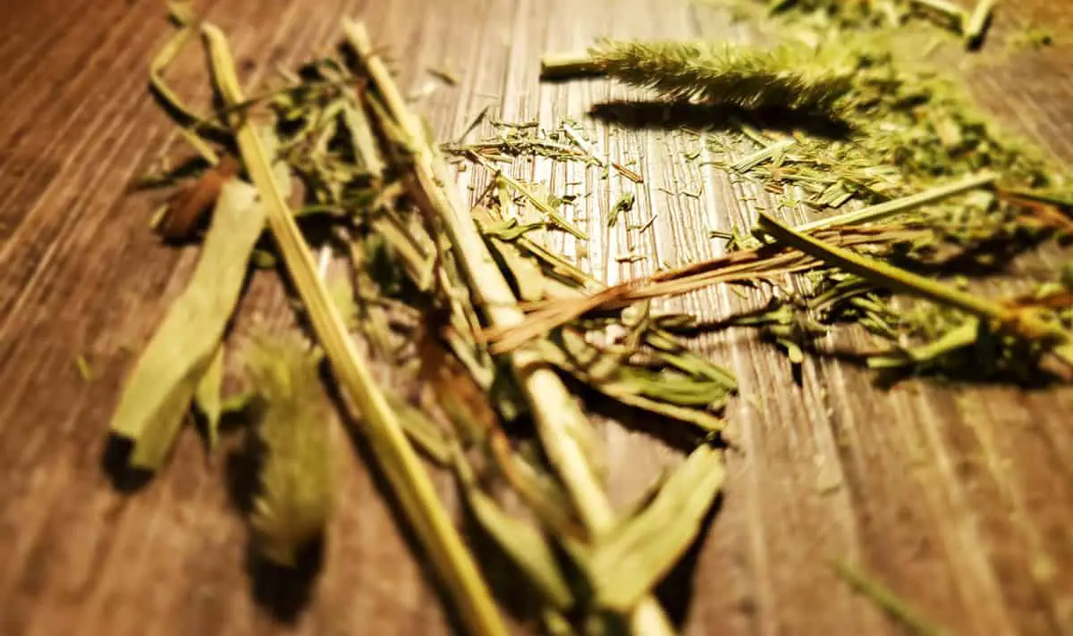 How To Clean Up Rabbit Hay Messes