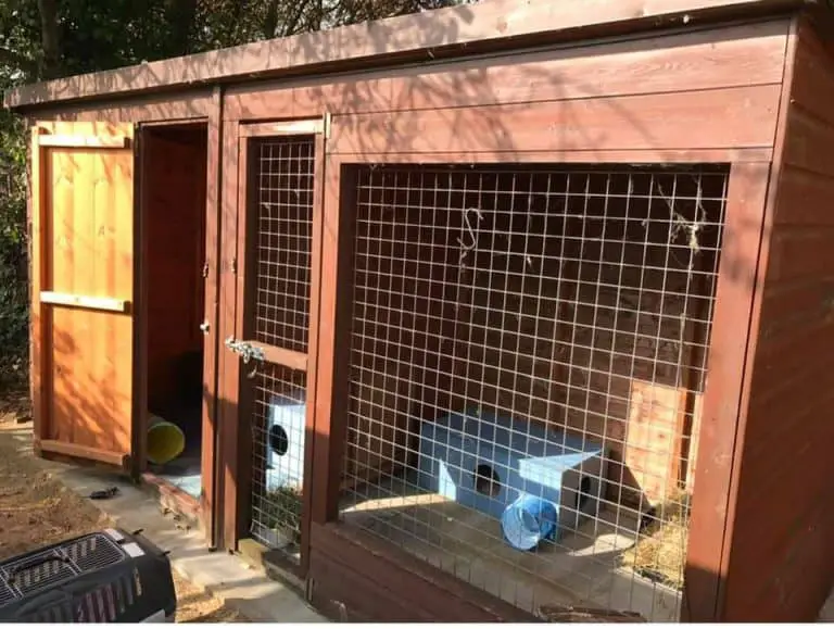 Rabbit Sheds The Ultimate Outdoor Bunny Hutch With Pictures