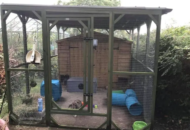 Rabbit Sheds The Ultimate Outdoor Bunny Hutch With Pictures
