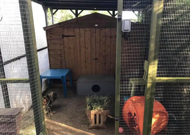 Rabbit Sheds The Ultimate Outdoor Bunny Hutch With Pictures