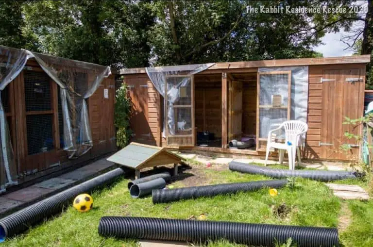 Rabbit Sheds The Ultimate Outdoor Bunny Hutch With Pictures