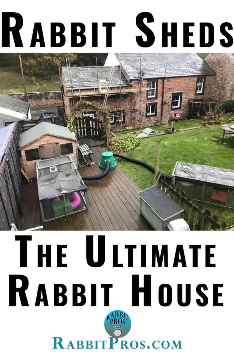 Rabbit Sheds The Ultimate Outdoor Bunny Hutch With Pictures