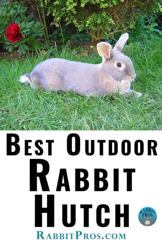 Best Outdoor Rabbit Hutch With Run