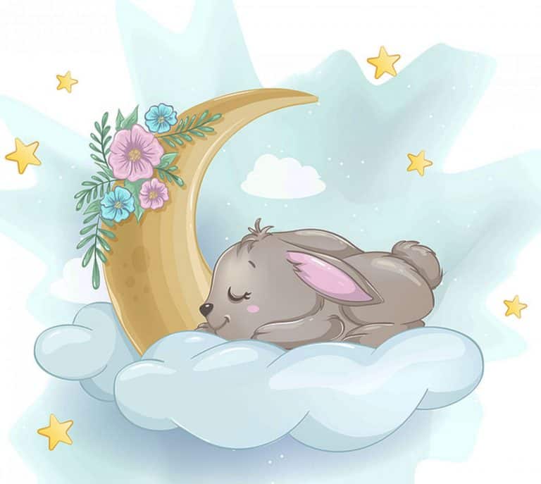 Get Your Rabbit To Sleep At Night 11 Sleepy Tips