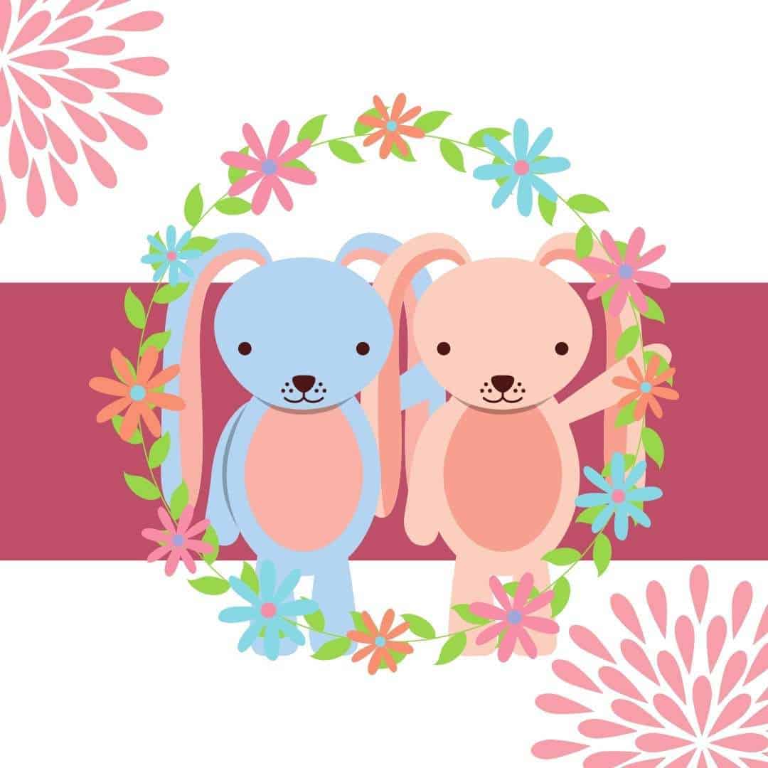 Male And Female Rabbits Which makes better pets?