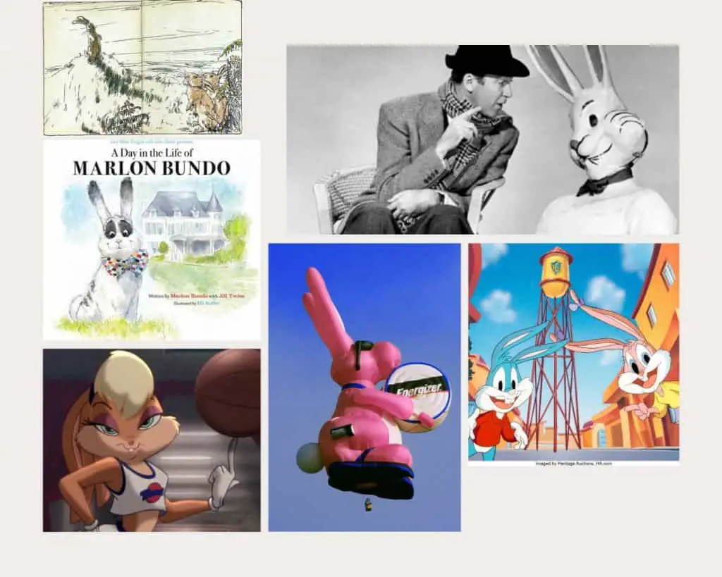 Famous Rabbits From Literature Media Fiction With Pictures