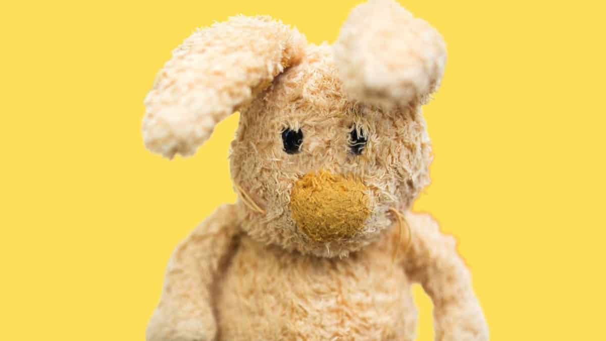 Rabbits And Loneliness Can A Pet Rabbit Die Of Loneliness?