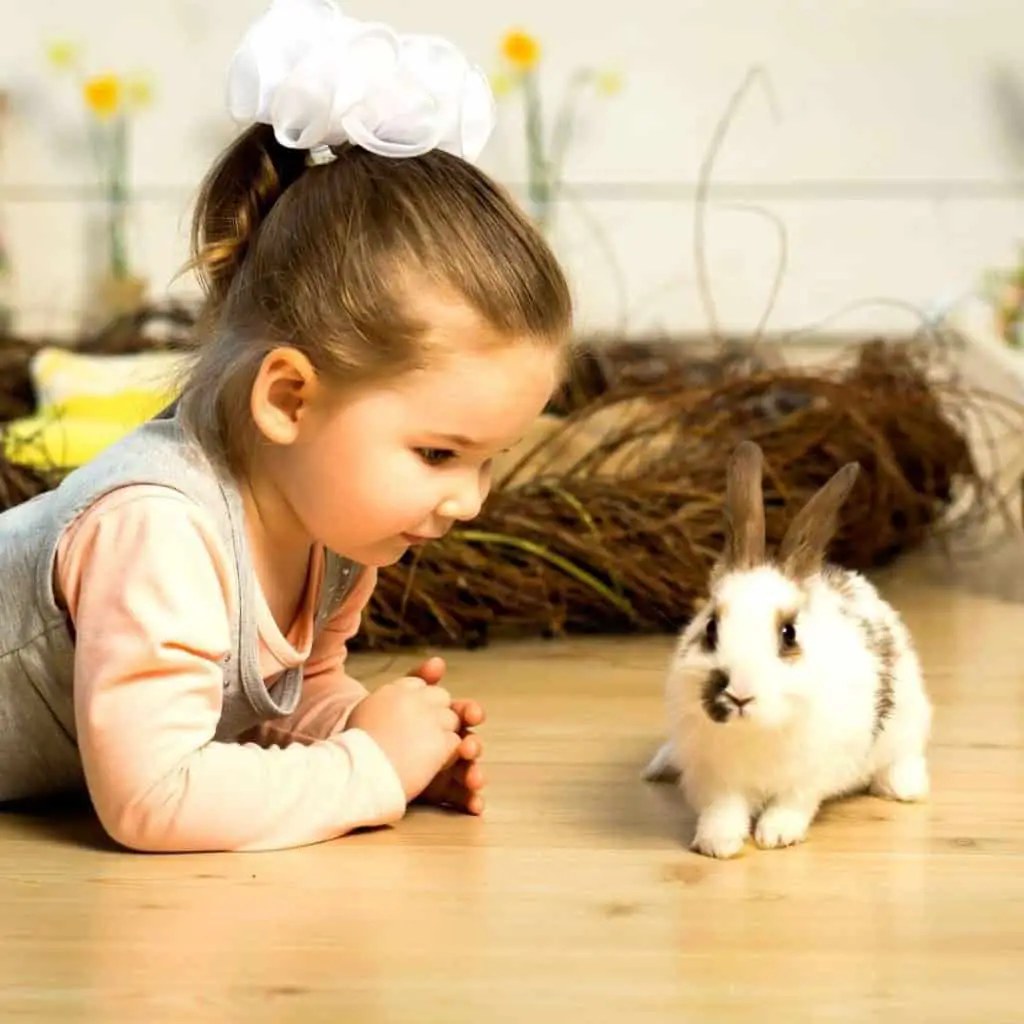 Image of Little Girl with pet rabbit.