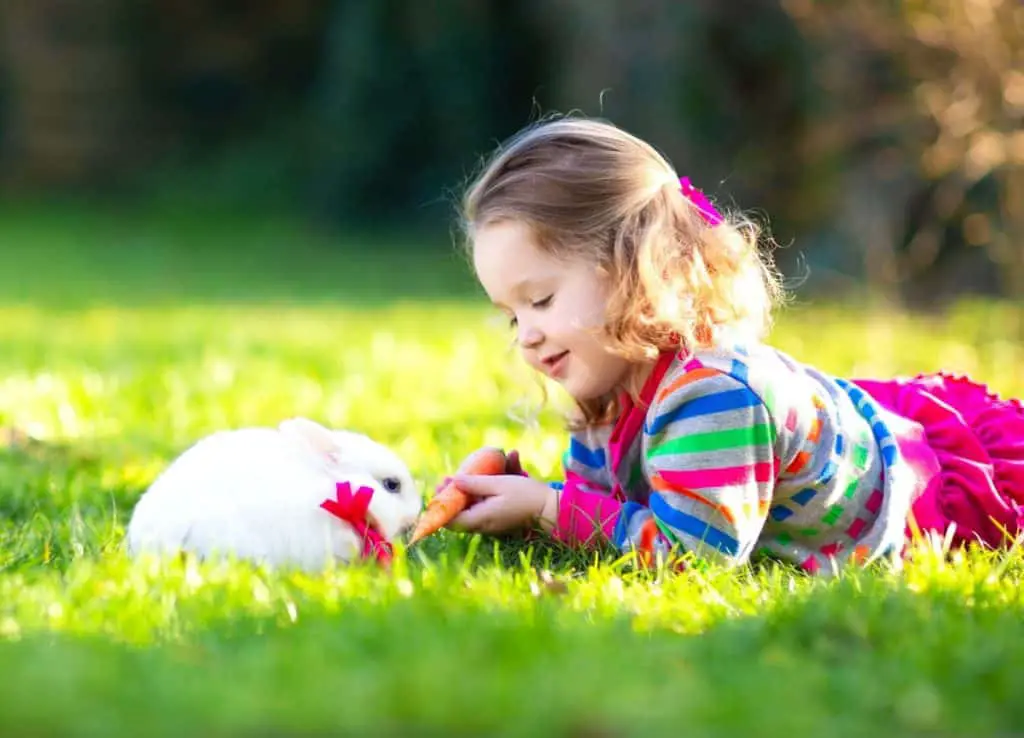 Introducing A Pet Rabbit To Children 9 Tips.